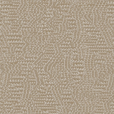Nico - 11023882