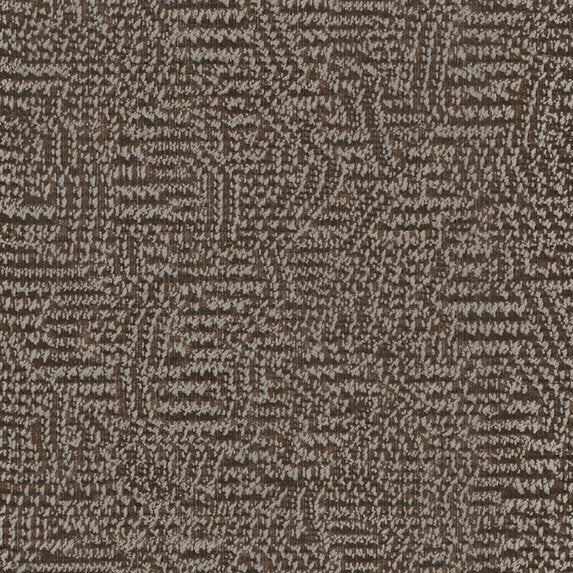 Nico - 11023984