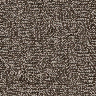 Nico - 11023984