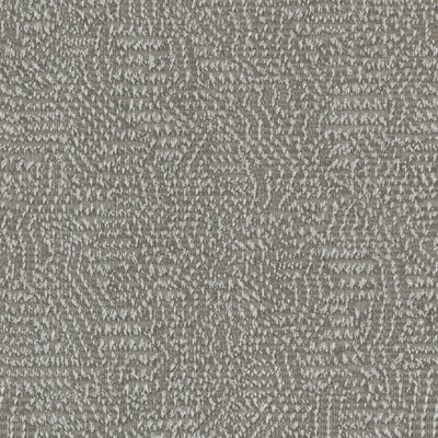 Nico - 11023991