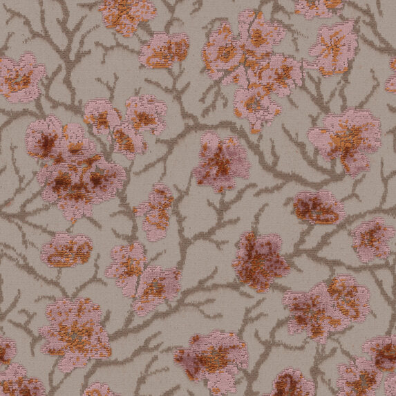 Cherry Blossom - 11027485