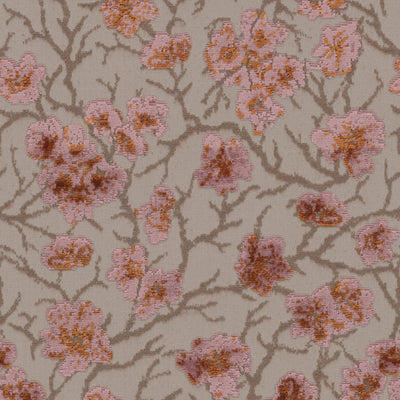 Cherry Blossom - 11027485