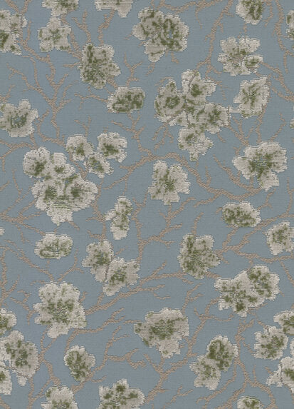 Cherry Blossom - 11027584