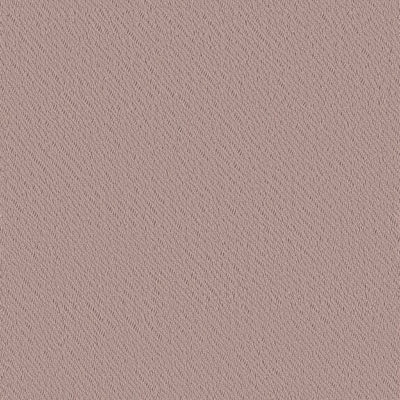 Silent Mode FR - 11035494