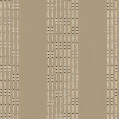 Bamboo - 11043884