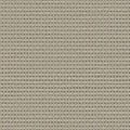 Niket - 11051883
