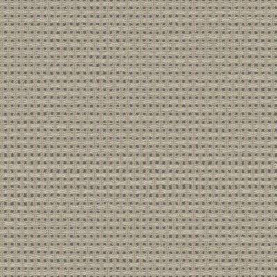 Niket - 11051883