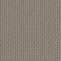 Niket - 11051895