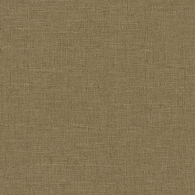 Nenet - 11052815