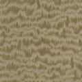 Mountain Lines - 11054744