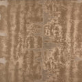 Leocorno - 15421886