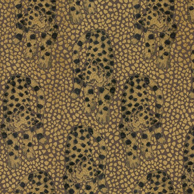 Leopardo - 15511197