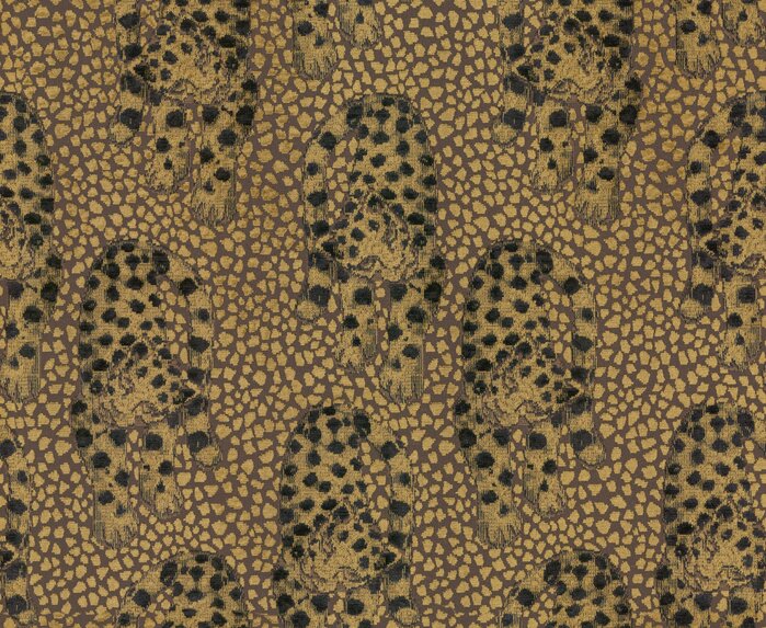 Leopardo - 15511197