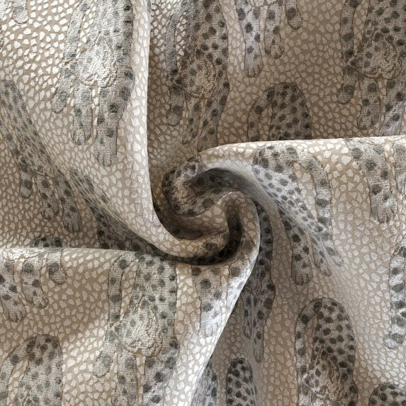 Leopardo - 15511985