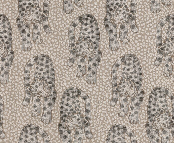 Leopardo - 15511985