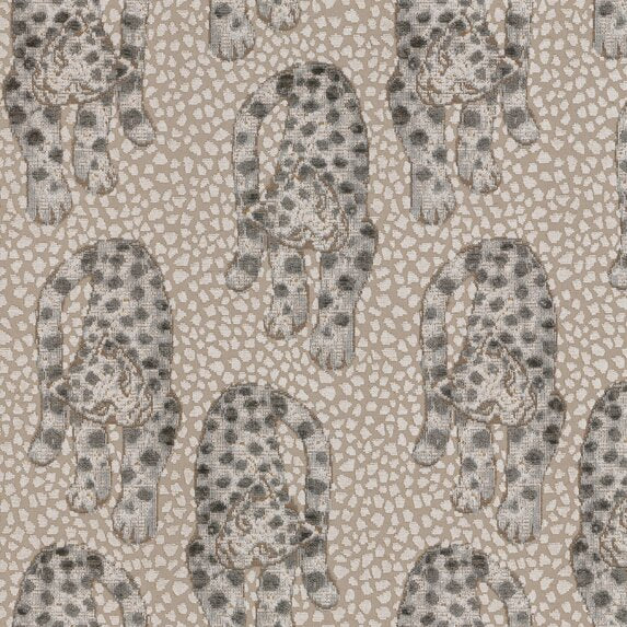 Leopardo - 15511985