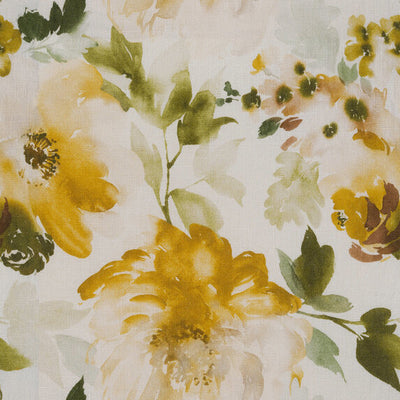 Rose Pivoine - 19600715