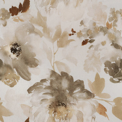 Rose Pivoine - 19600893
