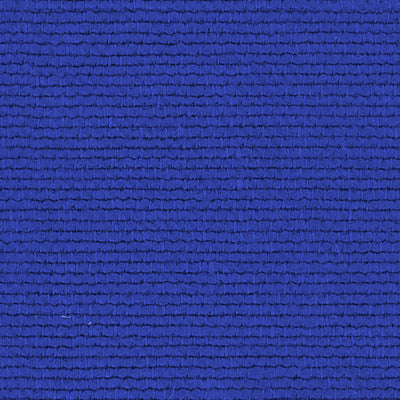 Linette - 19618556