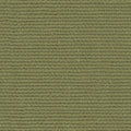 Linette - 19618714