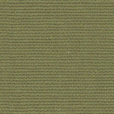 Linette - 19618714