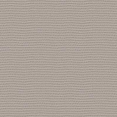 Linette - 19618881