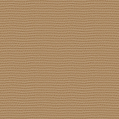 Linette - 19618882