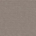 Linette - 19618886