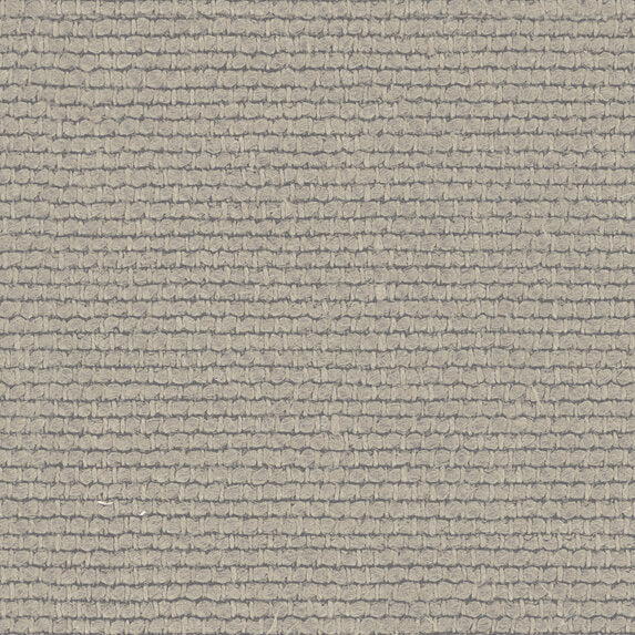 Linette - 19618893