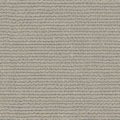 Linette - 19618893