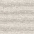 Linette - 19618992