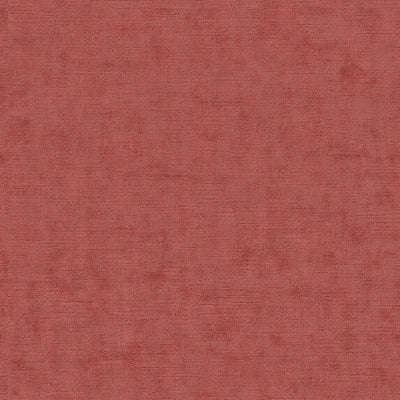 Lino RE - 19631435