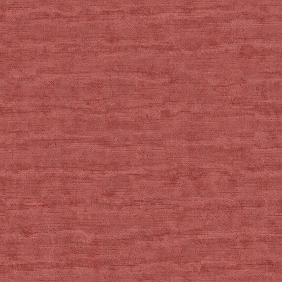 Lino RE - 19631435