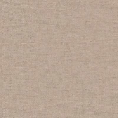 Lino RE - 19631881