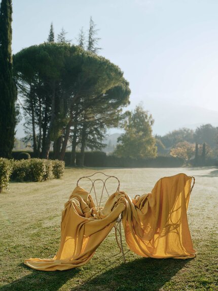 Lin du Sud - 19643884