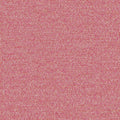 Menthe a leau - 19644425