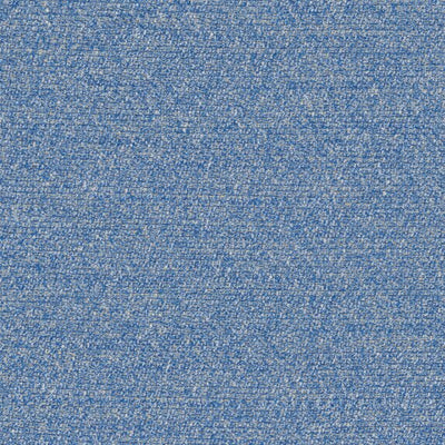 Menthe a leau - 19644555