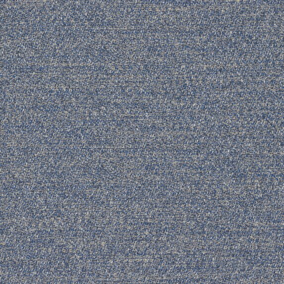 Menthe a leau - 19644558