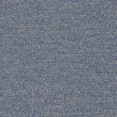 Menthe a leau - 19644558