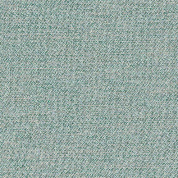 Menthe a leau - 19644575