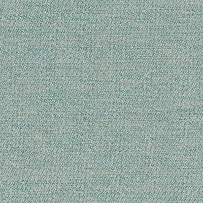 Menthe a leau - 19644575