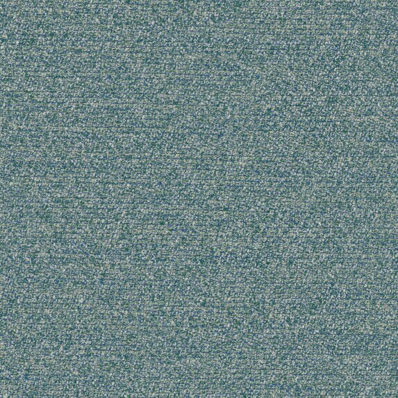 Menthe a leau - 19644577