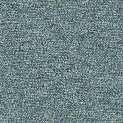 Menthe a leau - 19644577
