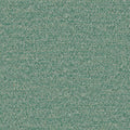 Menthe a leau - 19644775