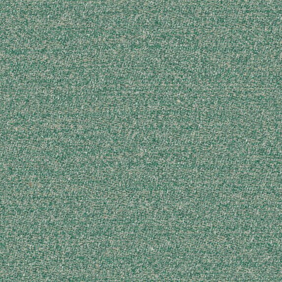 Menthe a leau - 19644775