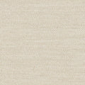 Menthe a leau - 19644880