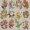 Fleurs Sauvages - 19653425