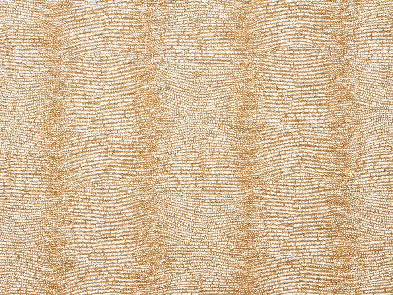 Armadillo - 21283183