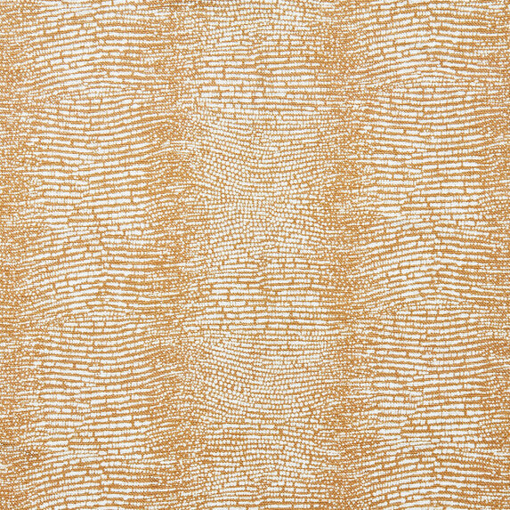 Armadillo - 21283183