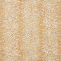 Armadillo - 21283183